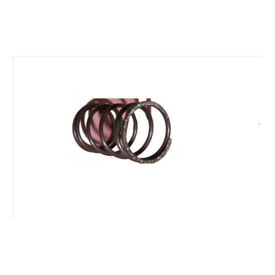 Santos Clutch Spring
