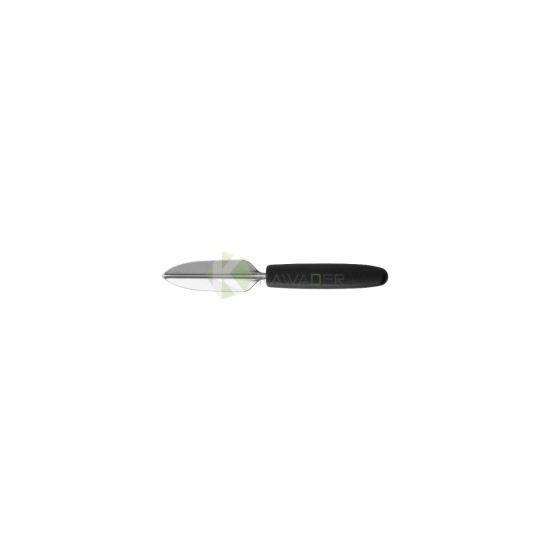 MELON CUTTER NYLON HANDLE From SANELLI