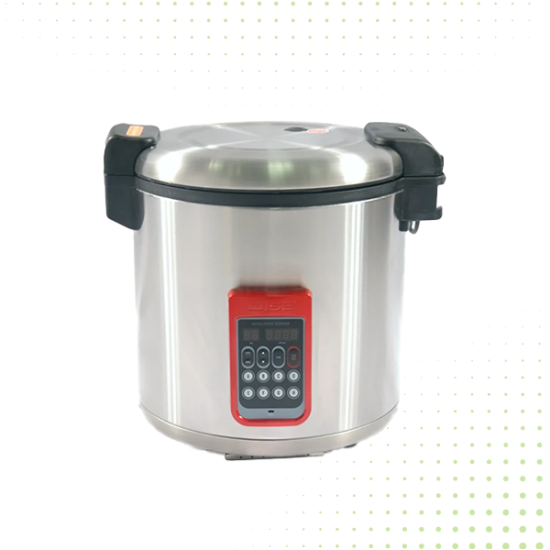 Stainless Steel Electric Digital Multi-Purpose Cooker – 20LT From PIOKIT