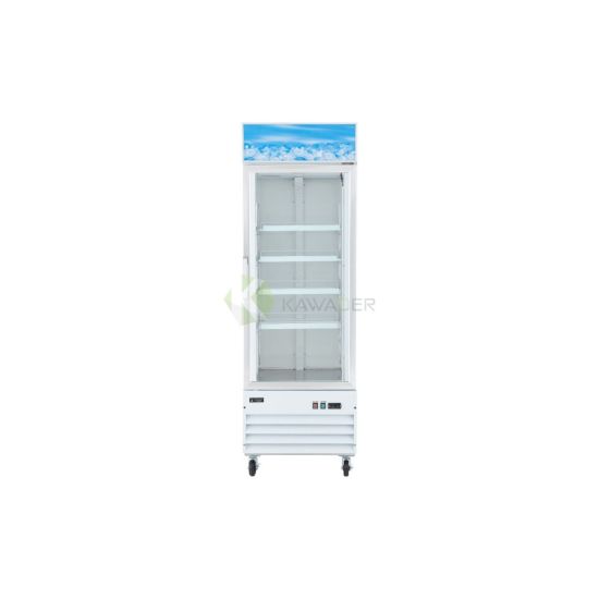 Merchandising Swing Glass Door Freezer – 368LT From PIOKIT