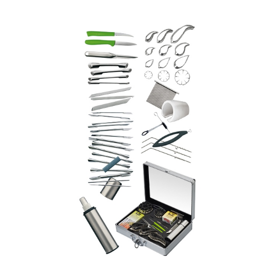 Pro Decoration Case - 45 Carvint Tools From Tellier