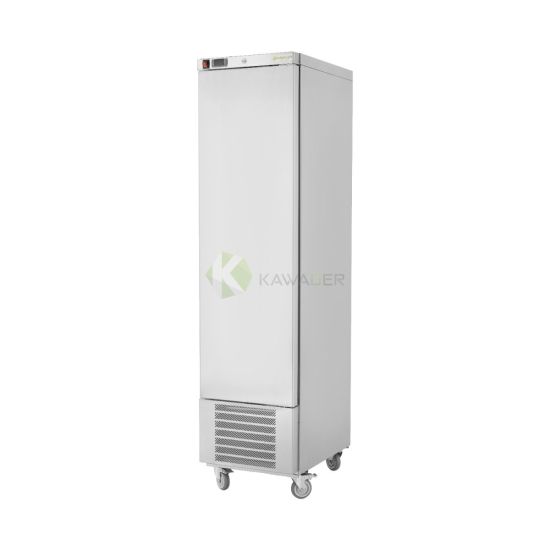 Single Door Upright Freezer - 300 L From PIOKIT