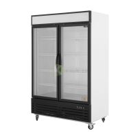 Standing Freezer 2 Door Glass Showcase -  1040L  From PIOKIT - Black