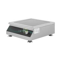 Single Zone Induction Cooker Stainless Steel – from Piokit