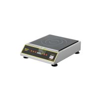 Electric Induction Cooking Range - from Roller Grill