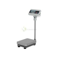 Stainless Steel Digital Scale With Pole Display – 60 KGS From PIOKIT