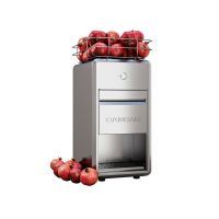 Automatic Pomegranate And Citrus Juicer – 7KG From CAN CAN - Silver