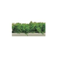 Divider With Foliage Garland Parsley - 75CM From L2G 