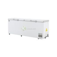 Chest Freezer 2 Doors – 706LT From PIOKIT