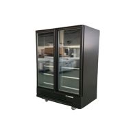 Plug In 2 Glass Doors Freezer – 120CM From PIOKIT