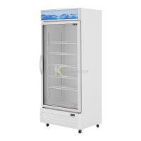 Standing 1 Door showcase Chiller – 610LT From PIOKIT - White