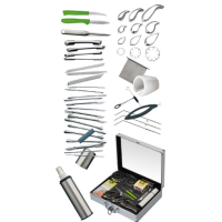 Pro Decoration Case - 45 Carvint Tools From Tellier