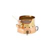 Stainless Steel Sand Turkish Brewing Coffee Machine AK/8-1N From JOHNY - Gold 