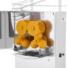 Semi-Automatic Orange And Citrus Juicer – 20-25 Fruit/Min From FRUCUSOL