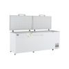 Chest Freezer 2 Doors – 706LT From PIOKIT