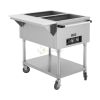Stainless Steel Electric Warming Table – 2 Bays From PIOKIT