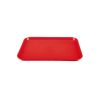Rectangular Serving Elegant Tray - Red Color From PIOKIT