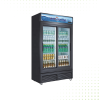 Standing 2 Door Showcase Refrigerator – 868LT From PIOKIT - Black