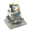 Waring Motor without Sensor, 230V, 50–60Hz, 1500W, 6.5A, Leili
