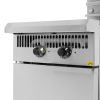 Stainless Steel Double Gas Fryer – 2*11 LT From PIOKIT