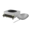 WOK Electric Induction Countertop – 1 Zone From ROLLER GRILL